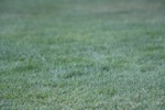 resIMG_20170709_224212_8201.JPG